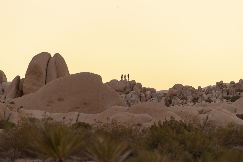 Joshua Tree national Park 03.jpg :: Joshua Tree national Park 03