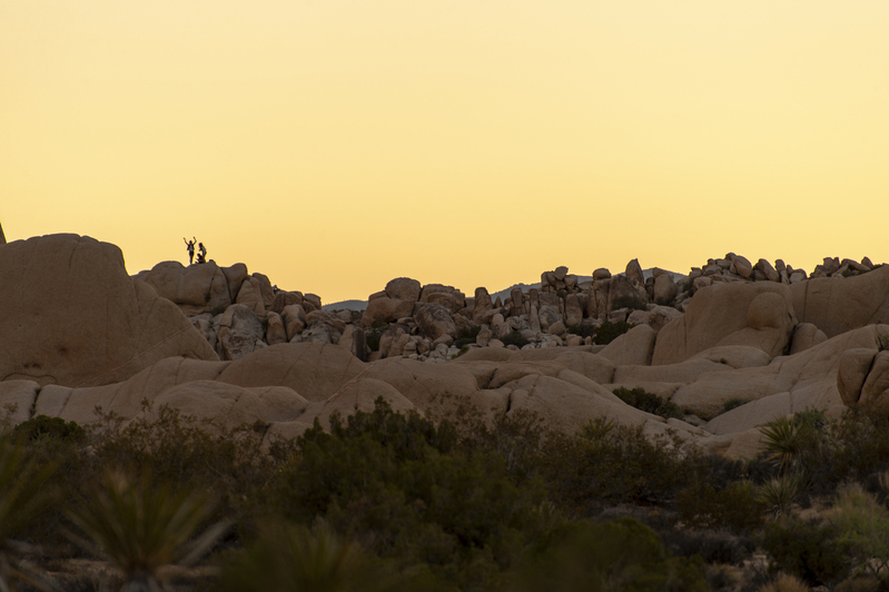 Joshua Tree national Park 04.jpg :: Joshua Tree national Park 04