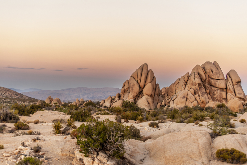 Joshua Tree national Park 05.jpg :: Joshua Tree national Park 05