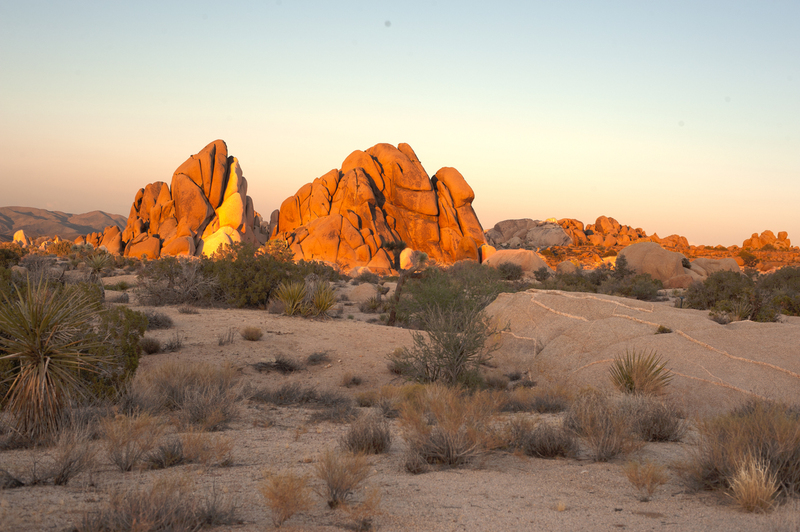 Joshua Tree national Park 08.jpg :: Joshua Tree national Park 08