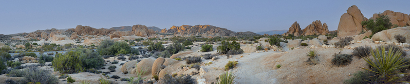 Joshua Tree national Park pano 01.jpg :: Joshua Tree national Park pano 01