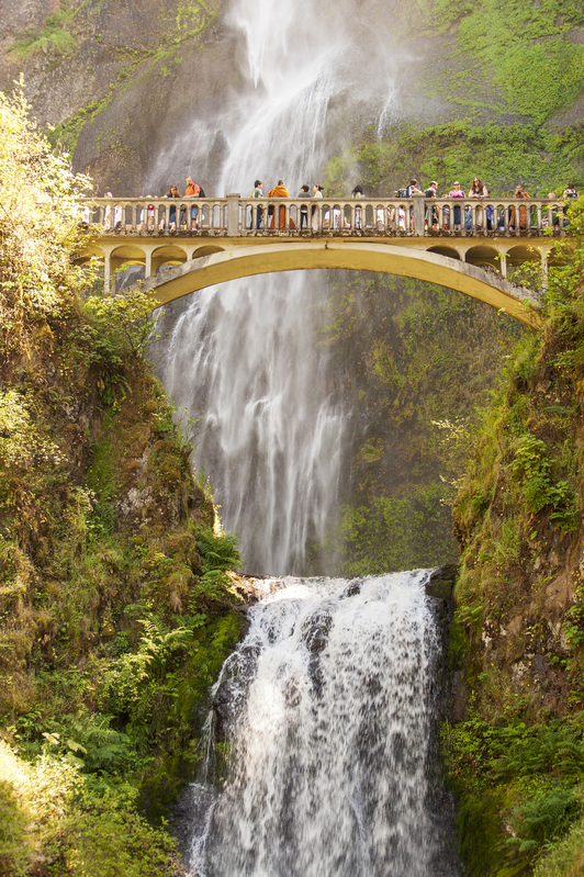 Multnomah Falls 1.jpg :: Multnomah Falls 1