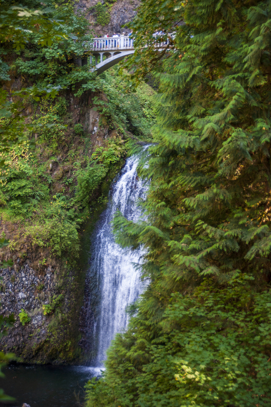 Multnomah Falls 5.jpg :: Multnomah Falls 5