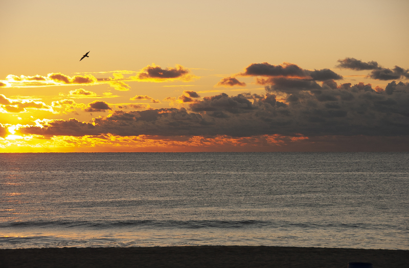 NJ shore Sunrise 3.jpg :: NJ shore Sunrise 3