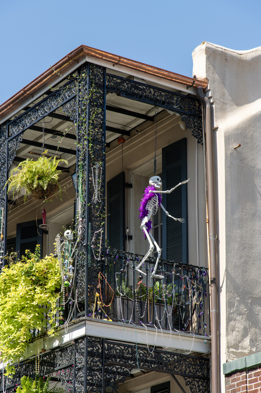 New Orleans 1.jpg :: skeletal guest 