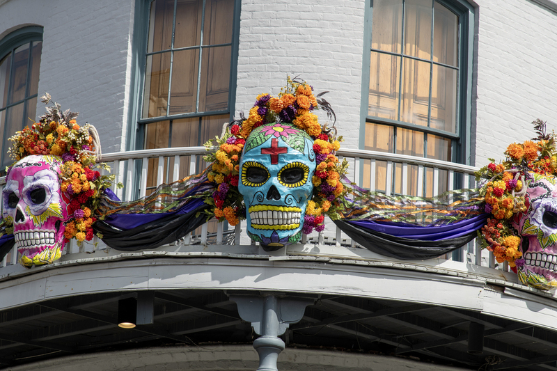 New Orleans 7.jpg :: New Orleans Troubadour Hotel Masks