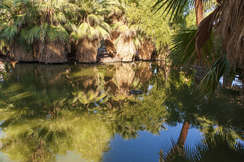 Palm Springs 1.jpg :: Palm Springs 1