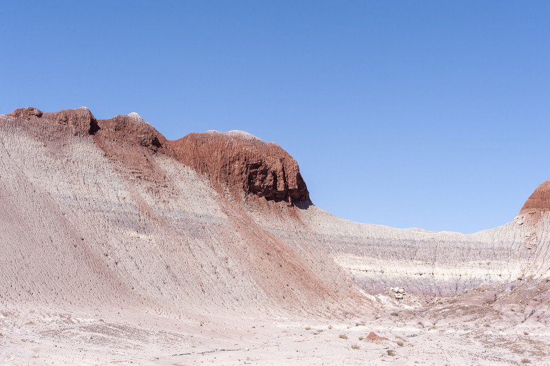 Petrified Forest National park 03.jpg :: Petrified Forest National park 03