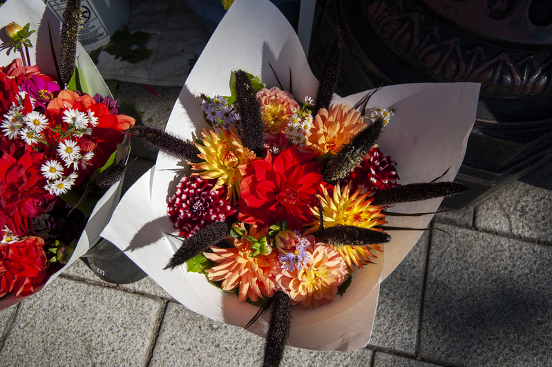 Portland Flowers.jpg :: Portland Flowers