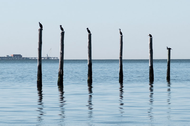 Six chairs - no waiting.jpg :: First Landing State Park
