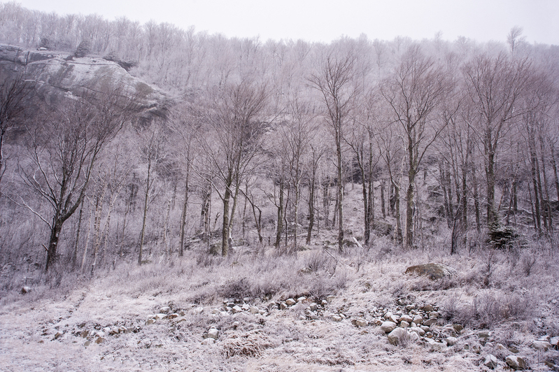 Snowy day in upstate New York.jpg :: Snowy day in upstate New York
