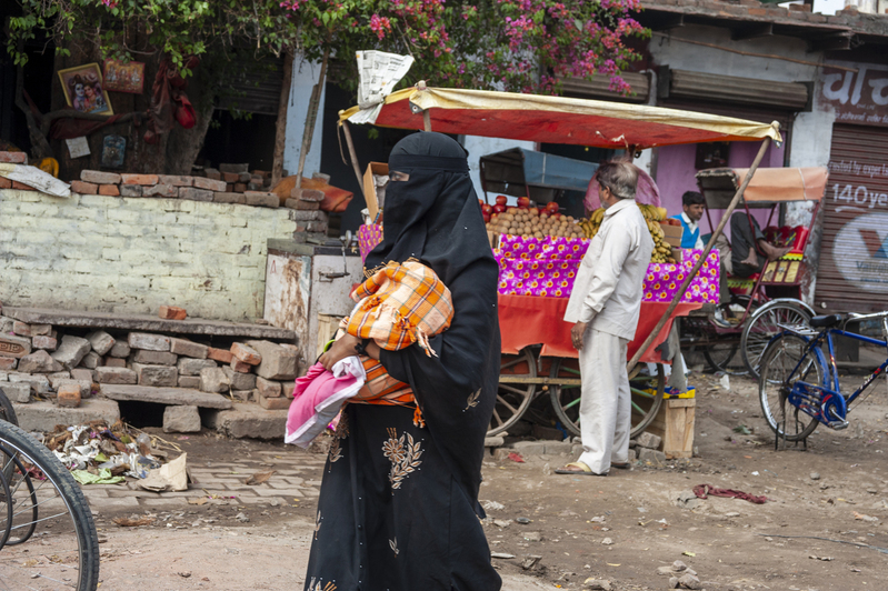 Street Scene Agra 2016 3.jpg :: Street Scene Agra 2016 3