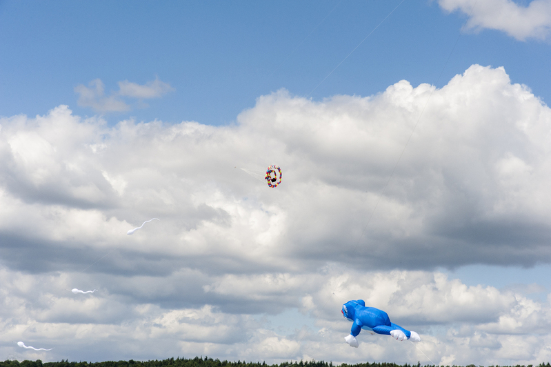 Unusual Kites.jpg :: Unusual Kites