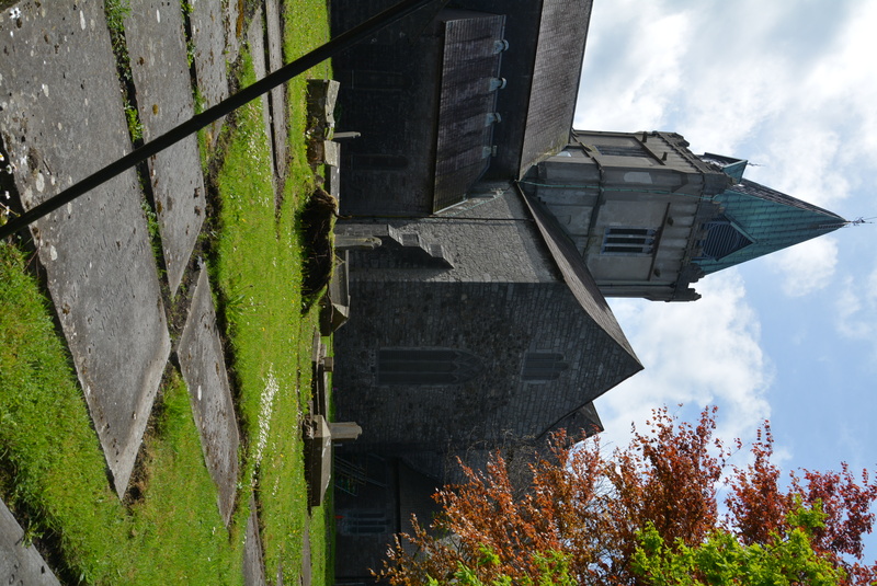 DSC_7720a (1)(1).jpg