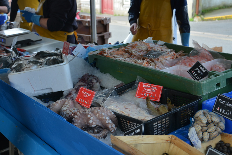 DSC_7720a (4)(1).jpg