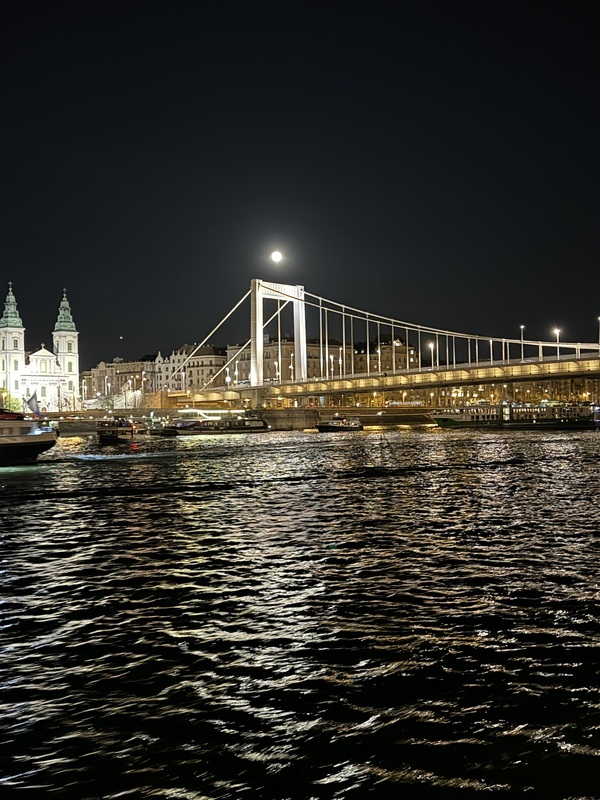 Budapest dinner on the Danube 7.jpg