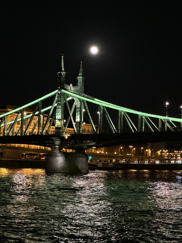 Budapest dinner on the Danube 8.jpg