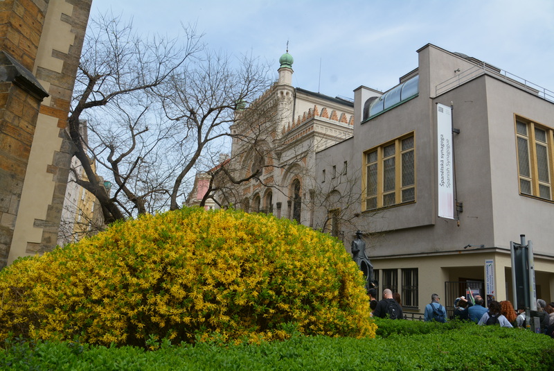 Prague Spanish Synagogue 1.jpg