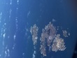 DSC_0201.jpg