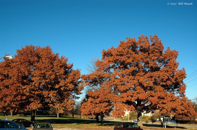 16_ DSC_1219 Fall 2006 rust twol 110906.jpg