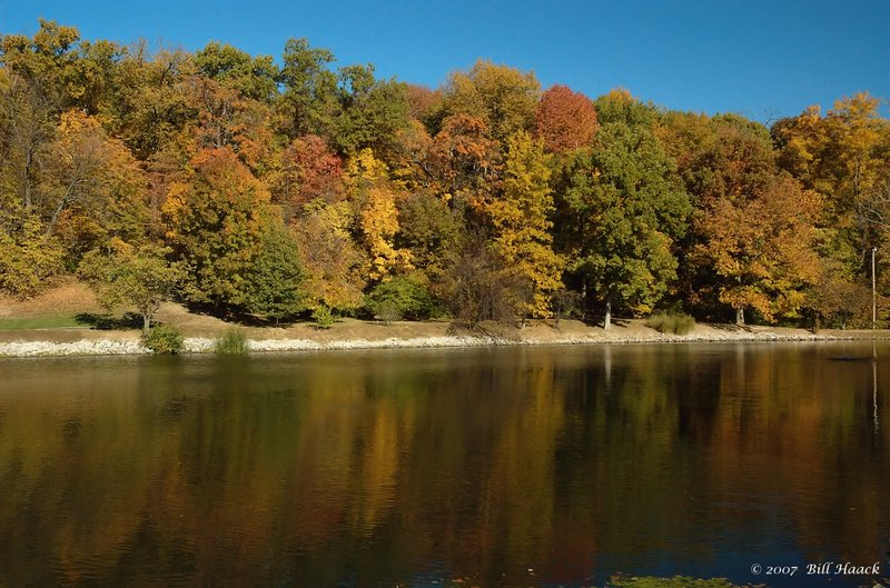 16_DSC_1373 fall color 2007 110107.jpg