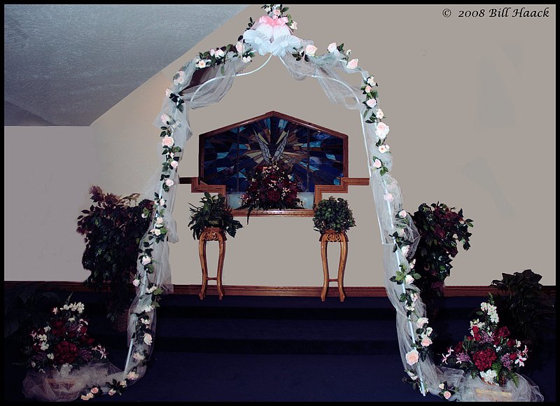 300_DSC_8424 trellis edited 1600x1160 060708.jpg