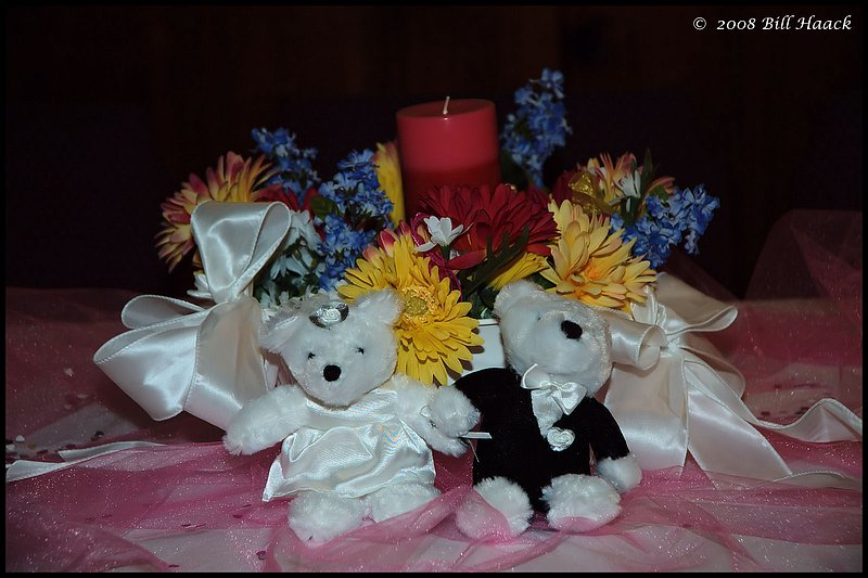 300_DSC_8434 bride groom bears edited full 1600x1160 060708.jpg