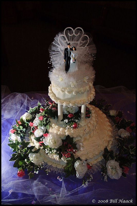 300_DSC_8486 VB FDP wedding cake 002 800x1200 060708.jpg