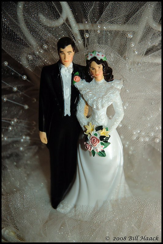 300_DSC_8491 VB FDP wedding cake bride n groom 004 800x1200 060708.jpg