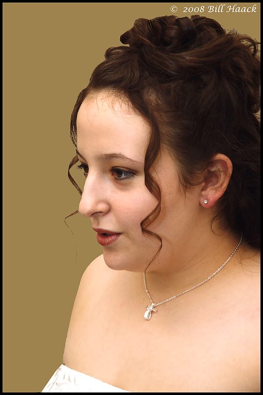 300_DSC_8525 Virginia gown 003 edited full 800x1200 060708.jpg