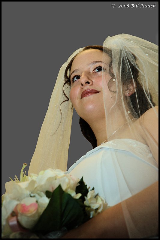 300_DSC_8541 Virginia gown 001 edited 1200x800 060708.jpg