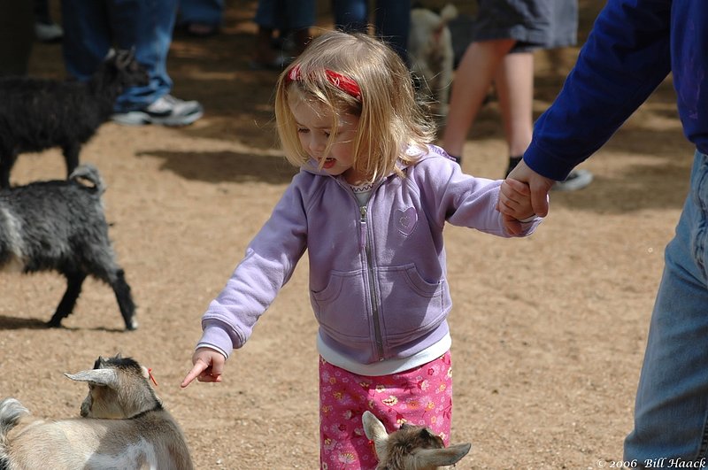 40_DSC_4988 Grants Iris 050606.jpg