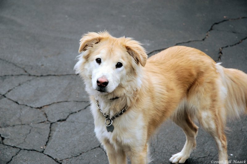 59_DSC_1228 Roxy 020206.jpg