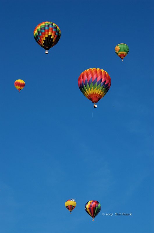 85_DSC_0334 GBR 6 colorful balloons 091507_1.jpg :: The Great Forest Park Balloon Race is held annualy in Forest Park, a park sitting in the middle of suburban St. Louis.  It is the only balloon race in the world to actually start within the middle of a major metropolitan city.

Forest Park itself is a wonderful park - golf courses, tennis courts, natural walkways, running paths, Art and History Museum, The Jewel Box and much, nuch more.