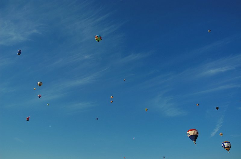 85_DSC_0442 potential bunny race entry 091507.jpg
