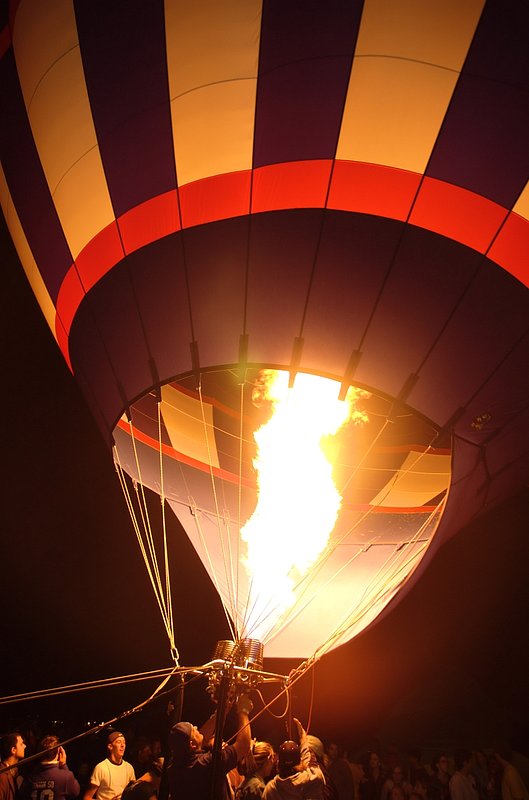85_DSC_9541 potential bunny race entry 091507.jpg :: The Great Forest Park Balloon Race is held annualy in Forest Park, a park sitting in the middle of suburban St. Louis.  It is the only balloon race in the world to actually start within the middle of a major metropolitan city.

Forest Park itself is a wonderful park - golf courses, tennis courts, natural walkways, running paths, Art and History Museum, The Jewel Box and much, nuch more.