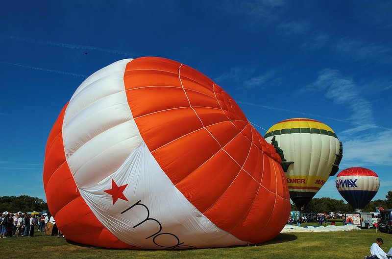 85_DSC_9917 potential bunny race entry 091507.jpg :: The Great Forest Park Balloon Race is held annualy in Forest Park, a park sitting in the middle of suburban St. Louis.  It is the only balloon race in the world to actually start within the middle of a major metropolitan city.

Forest Park itself is a wonderful park - golf courses, tennis courts, natural walkways, running paths, Art and History Museum, The Jewel Box and much, nuch more.