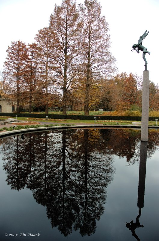 90_DSC_3196 MBG tree reflection 001 112307.jpg