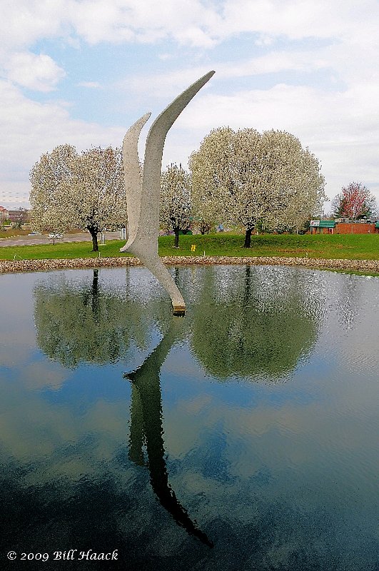 90_DSD1403 Seagull pond spring 001 032209.jpg