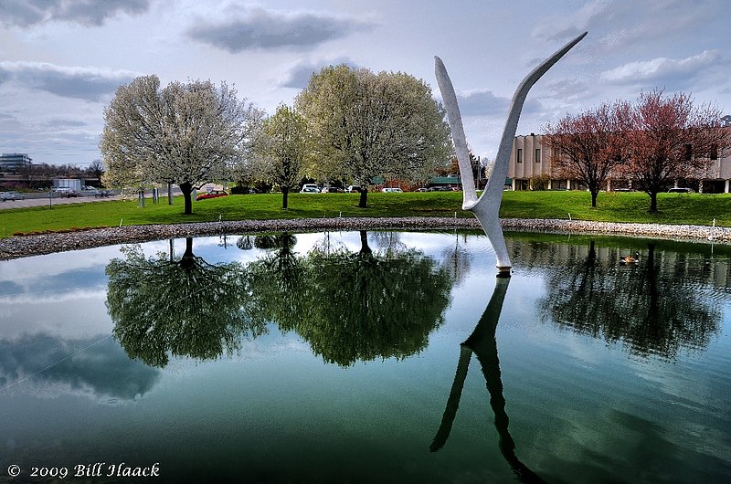 90_DSD1456_7_5 HDR 3 mirror seagull spring pond 032609.jpg