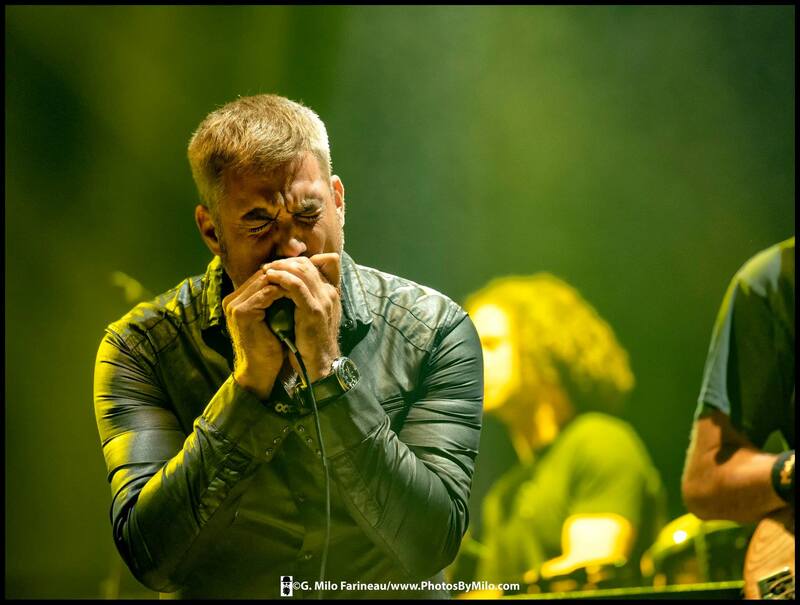 Lockn2018 (37).jpg