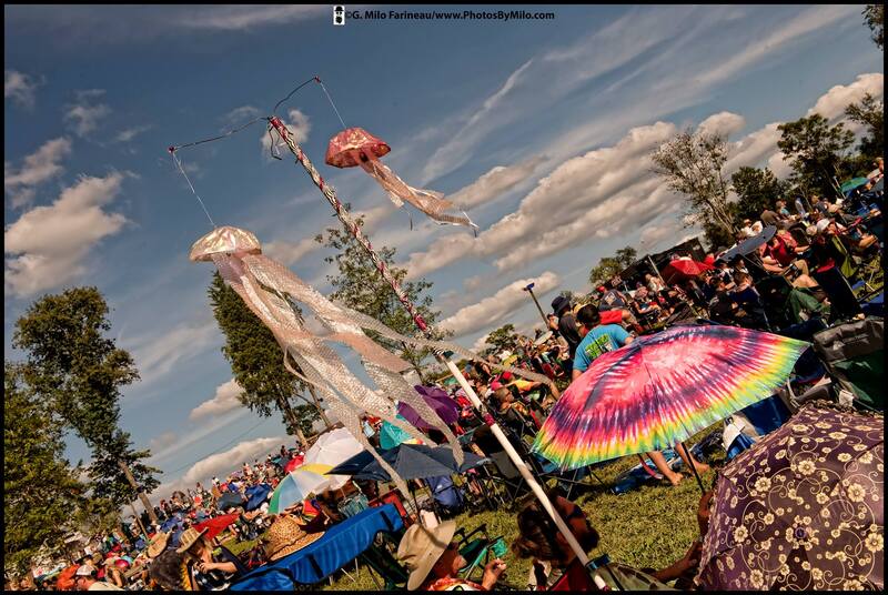 Lockn2018 (42).jpg