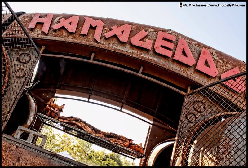 Lockn2018 (43).jpg