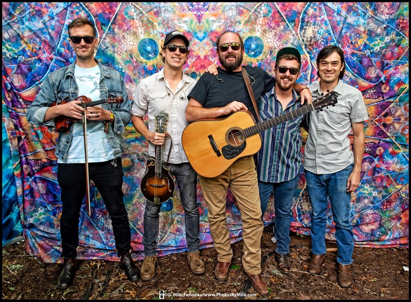 Lockn2019 (26).jpg