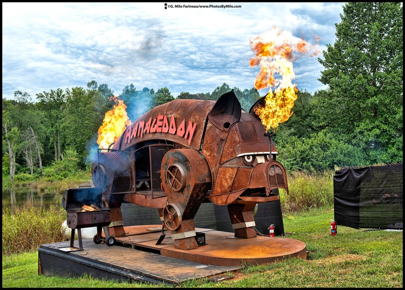 Lockn2019 (31).jpg