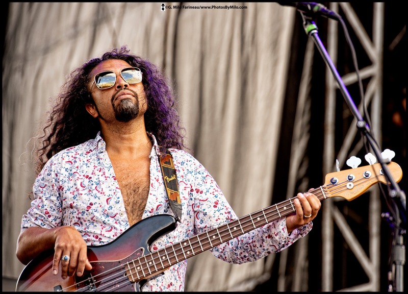 Lockn2019 (50).jpg