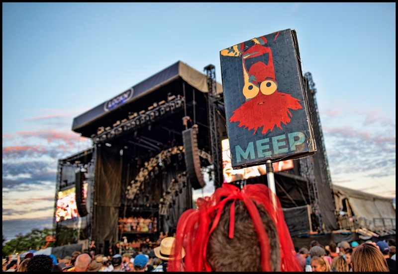 Lockn2019 (56).jpg