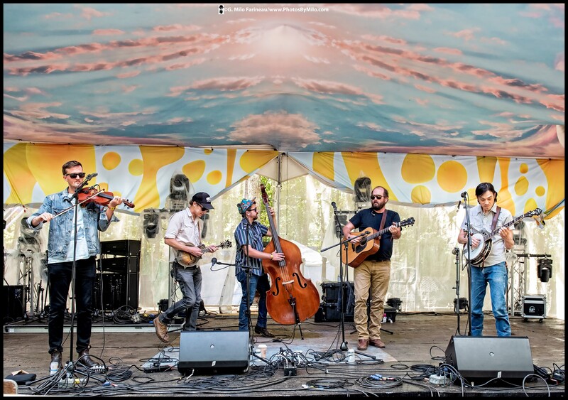 Lockn2019 (58).jpg