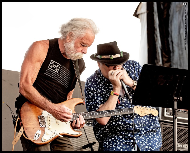 Lockn2019 (61).jpg