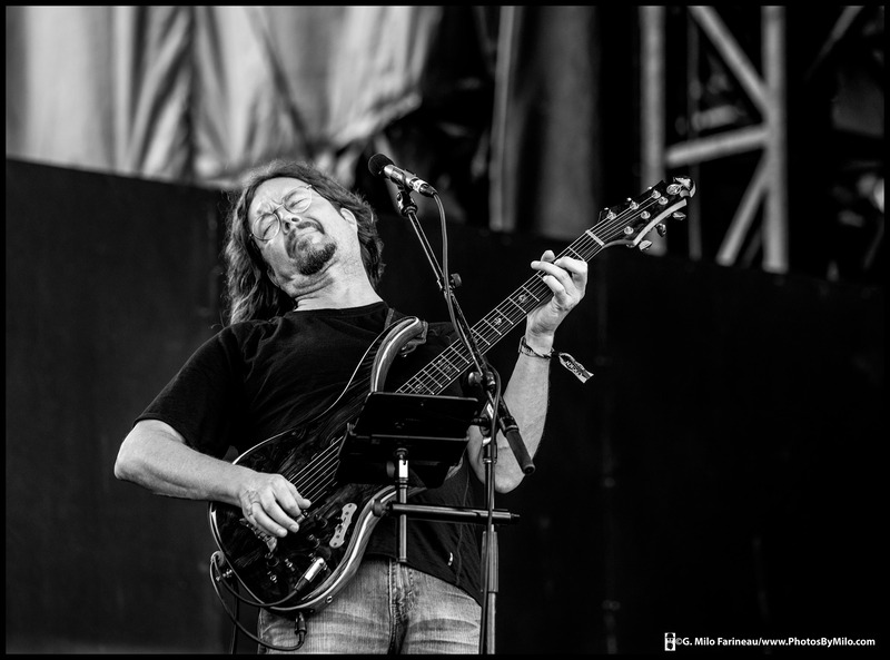 Lockn2019 (87).jpg